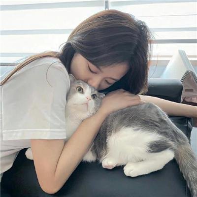 情燄感顽心